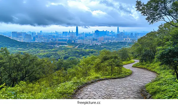 Panoramic City View from Mountain Trail