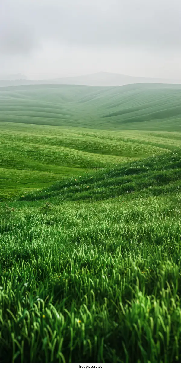 Green rolling hills of Tuscany