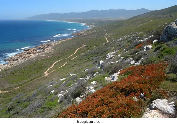 Aerial View of Coastline With a Winding Trail