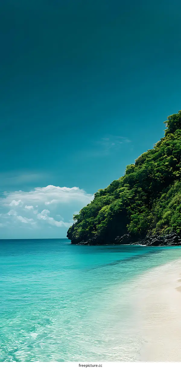 Tropical Beach with Clear Water and Lush Greenery