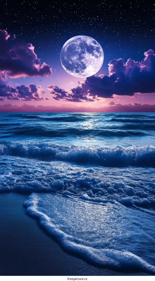 Moonlit Beach at Night Scenic View