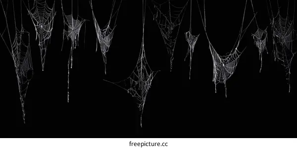 Spooky Spiderwebs Halloween Decoration