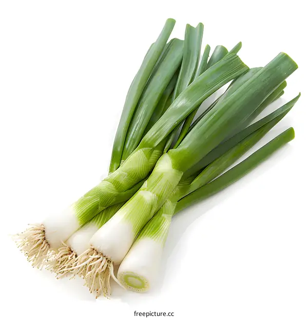 Fresh green spring onion