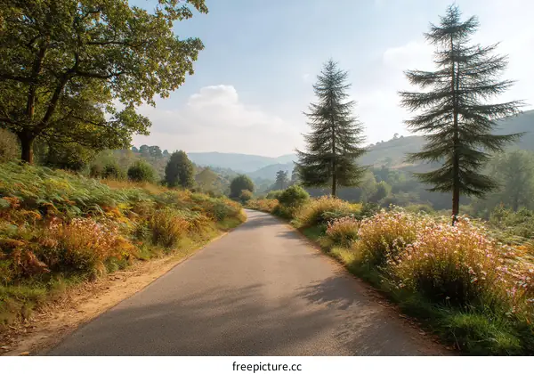 Country Road Through Scenic Hills Landscape