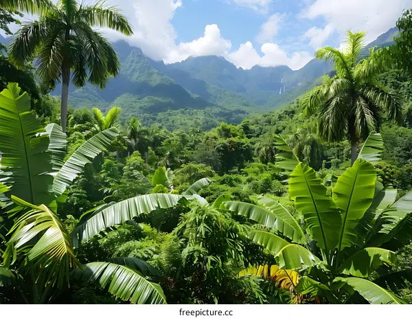 Lush Tropical Forest with Mountains