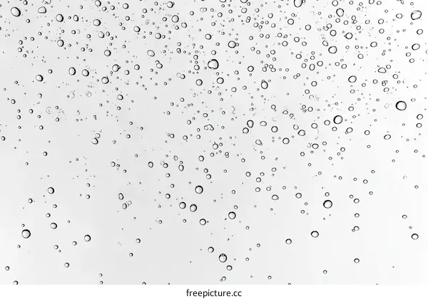 Water Drops and Bubbles on a Surface