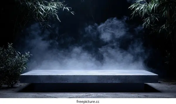 Mysterious Gray Concrete Platform Scene with Fog