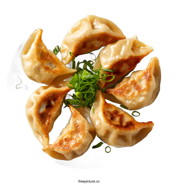 [Transparent Background PNG]dumplings with green onions