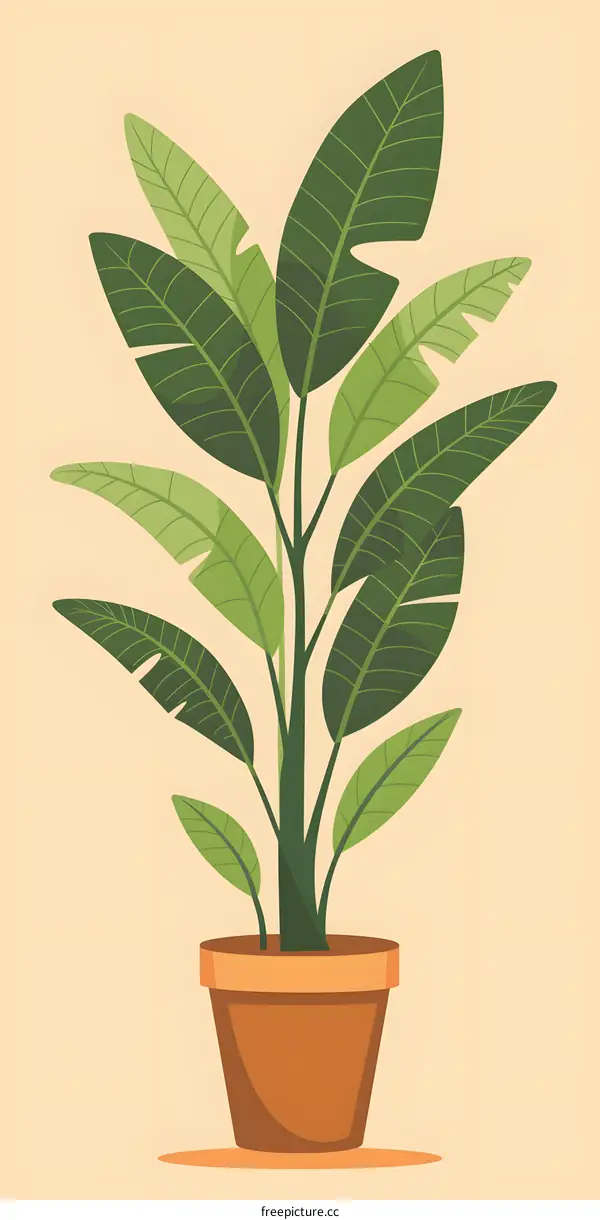 Green Houseplant in a Brown Pot