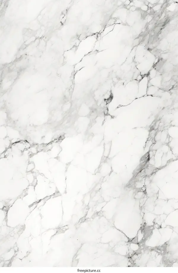 Elegant White Marble Texture with Dark Gray Veins