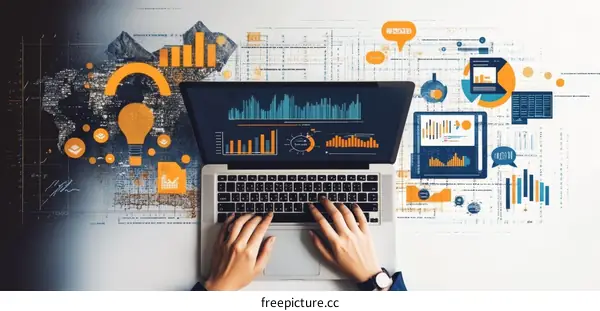 Business Analytics on Laptop