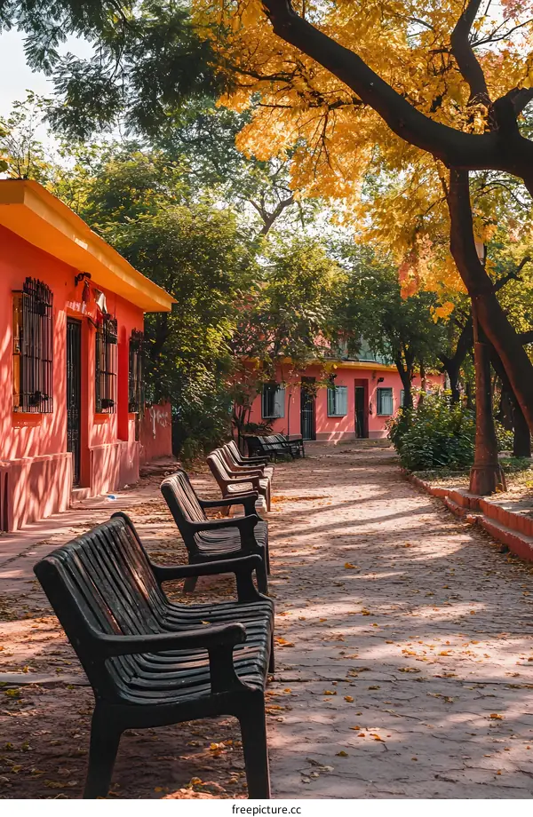Empty Benches Lined Up on a Path in a Park with Pink Buildings and Golden Autumn Leaves