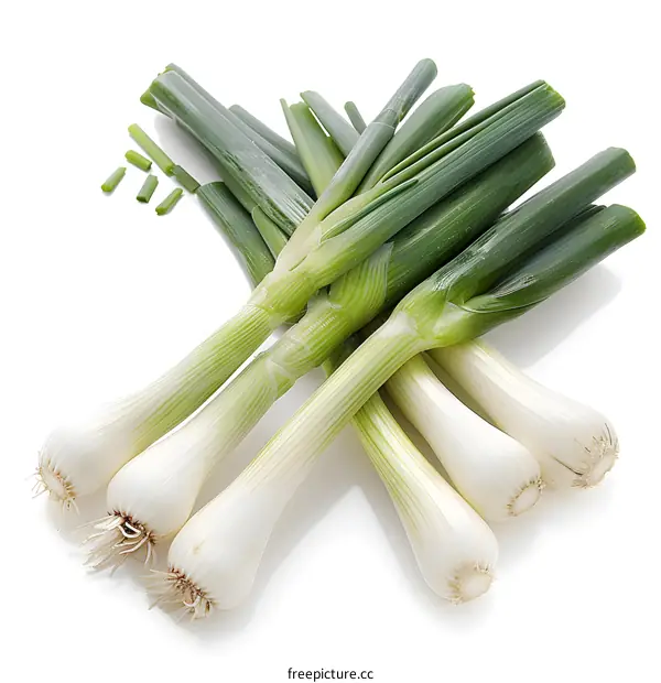 Fresh green spring onion bulbs and leaves