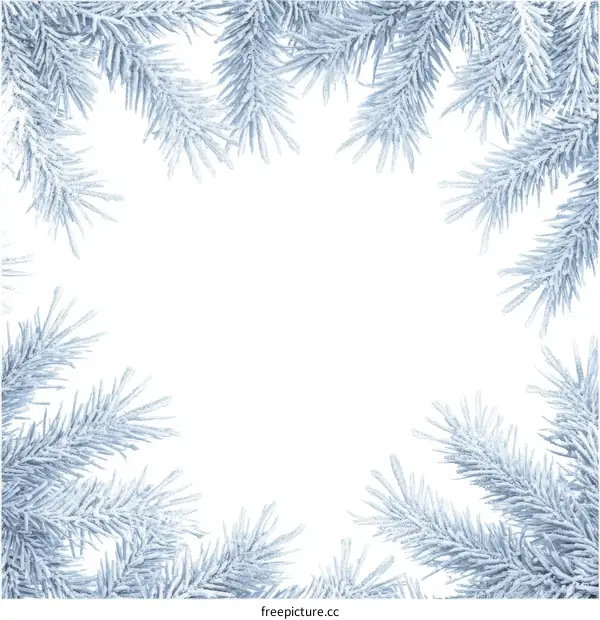 Frosted Fir Branches Frame Design