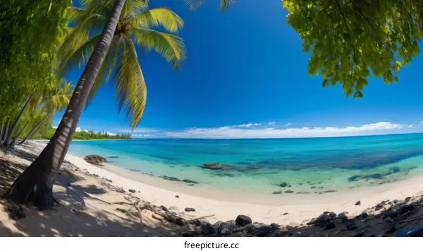 Beach with palm trees, blue water and white sand