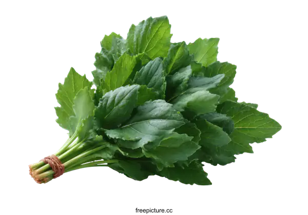 [Transparent Background PNG]Fresh Green Leaves Bundle