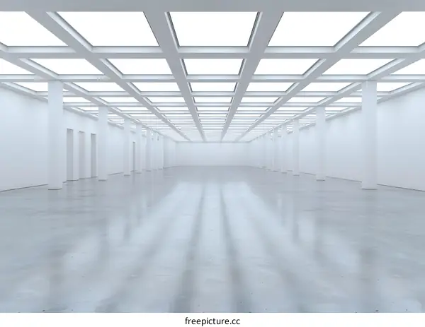 Empty White Room With Grid Ceiling and Concrete Floor