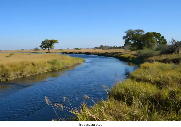 Serene River Flowing Through African Savanna
