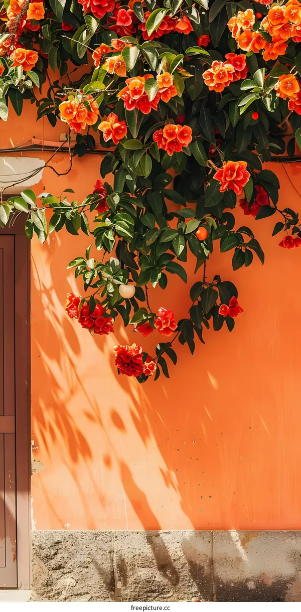 Orange Wall With Blooming Flowers and Leaves
