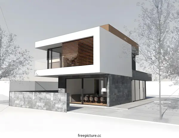 Modern House Exterior Design with Wooden Accents