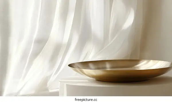 Modern Gold Bowl Against Sheer White Curtains
