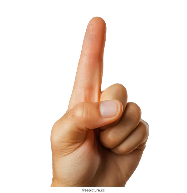 [Transparent Background PNG]Close up of a single finger pointing