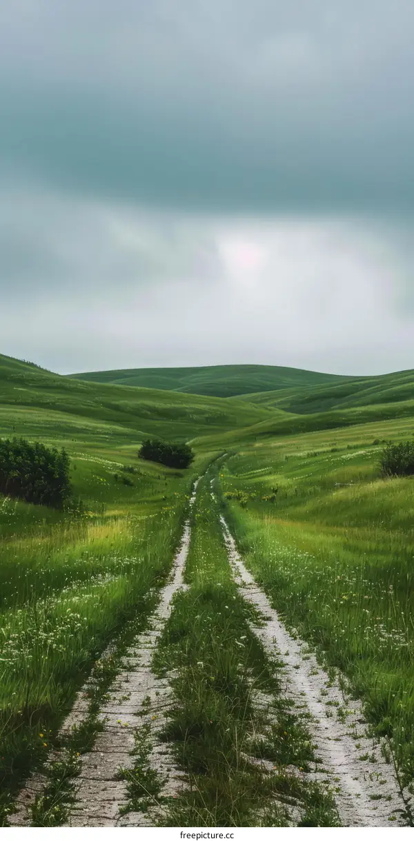 Countryside dirt road through green grassy hills under cloudy sky