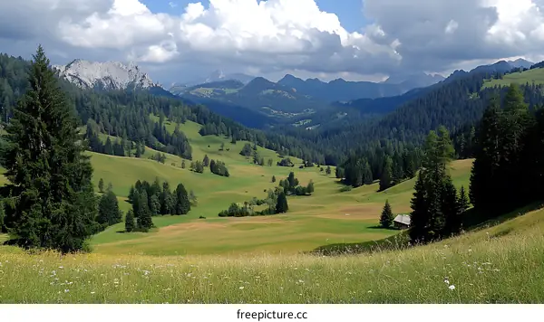 Alpine Valley Landscape with Green Meadows and Mountains