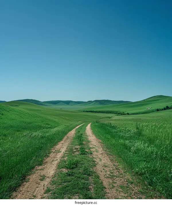 dirt road through a lush green grassy field with hill