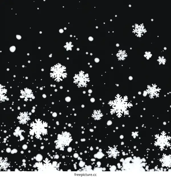 Winter Snowflakes Falling on Black Background