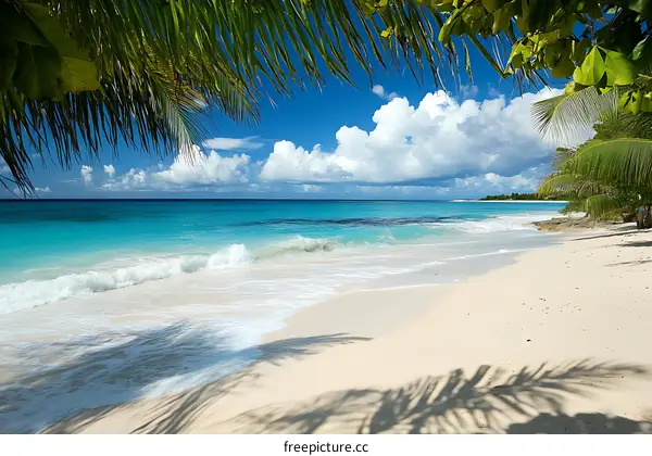 Tropical Beach With Palm Trees And Blue Water
