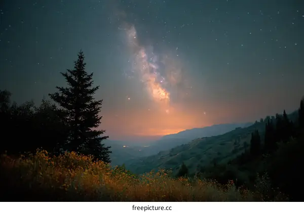 Night Sky Milky Way Over Mountains and Trees