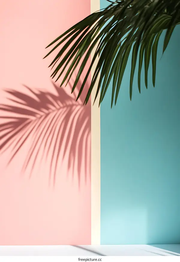 Palm Leaf Shadow on Pastel Pink and Blue Wall