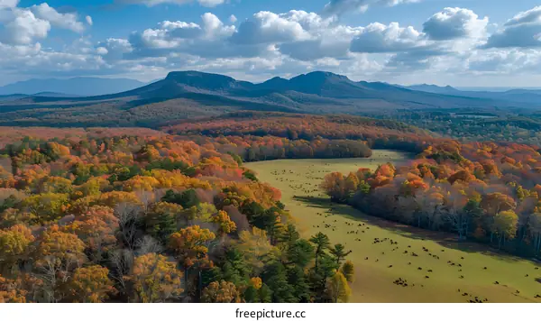 Aerial View of Autumn Foliage in Mountains