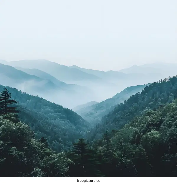 Misty Mountain Ranges Landscape