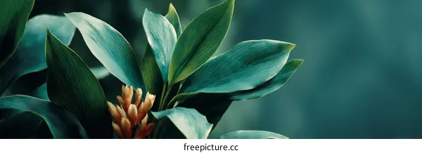 Close-up Tropical Leaves and Blossoms in Soft Focus