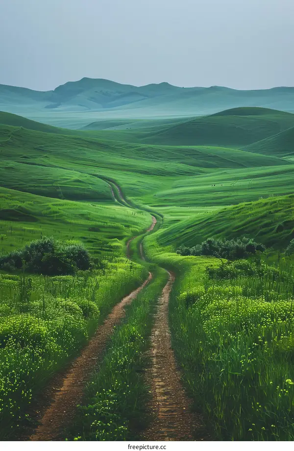 Curving Dirt Road Through Lush Green Hills