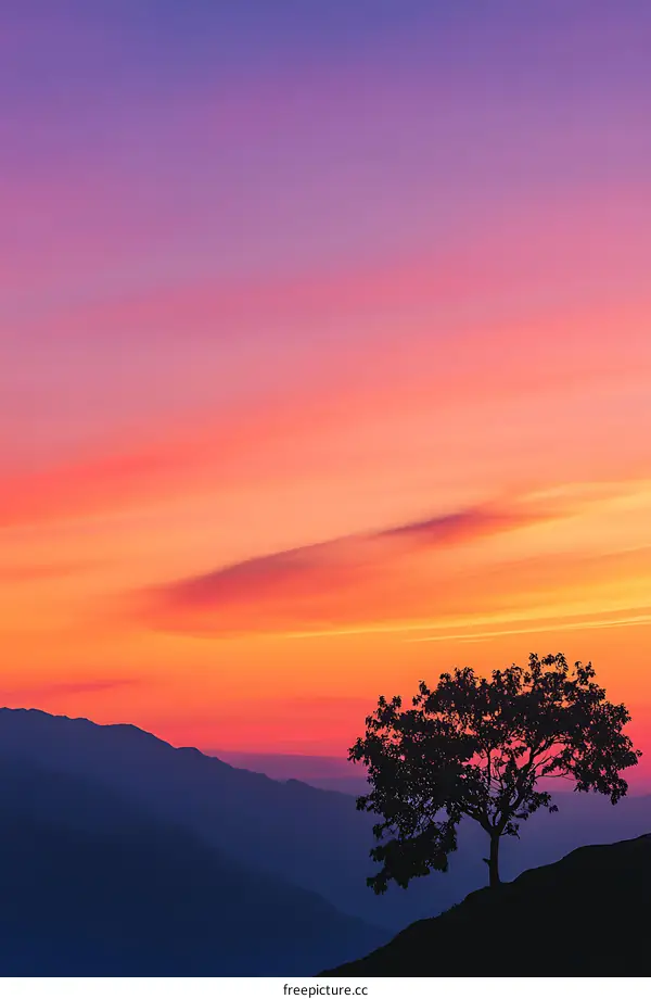 Silhouette of a Tree on a Mountain at Sunset