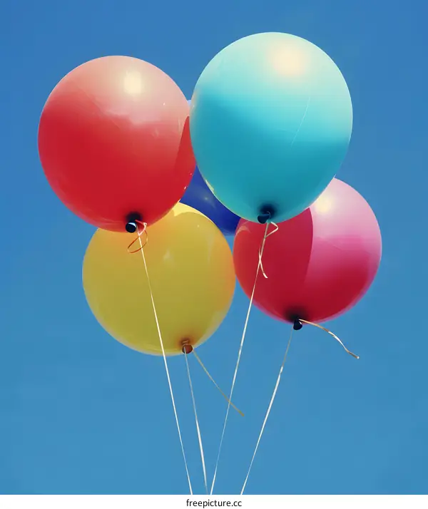 Colorful Balloons Floating in the Sky