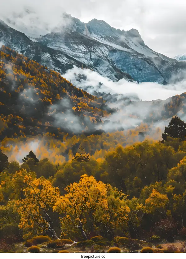 Autumn Forest Landscape with Mountain and Fog
