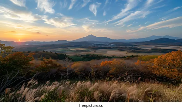Mount Aso in the distance with autumn leaves in the foreground