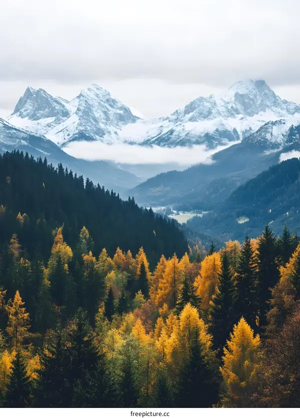 Picturesque View of Snow Capped Mountains in the Alps
