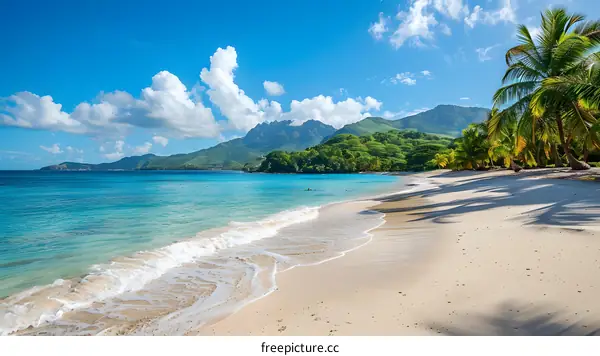 Tropical Beach Scene with Palm Trees and Mountain Range