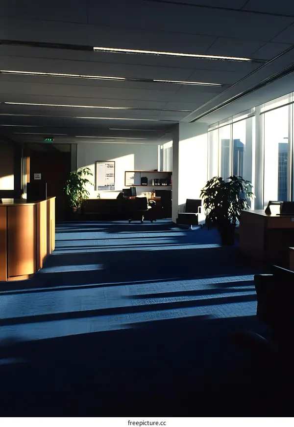 Modern Office Building Interior with Blue Carpet and Natural Light