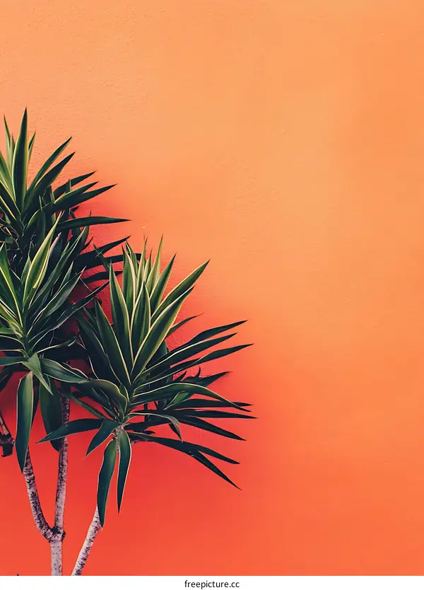 Green Plant Against Orange Wall