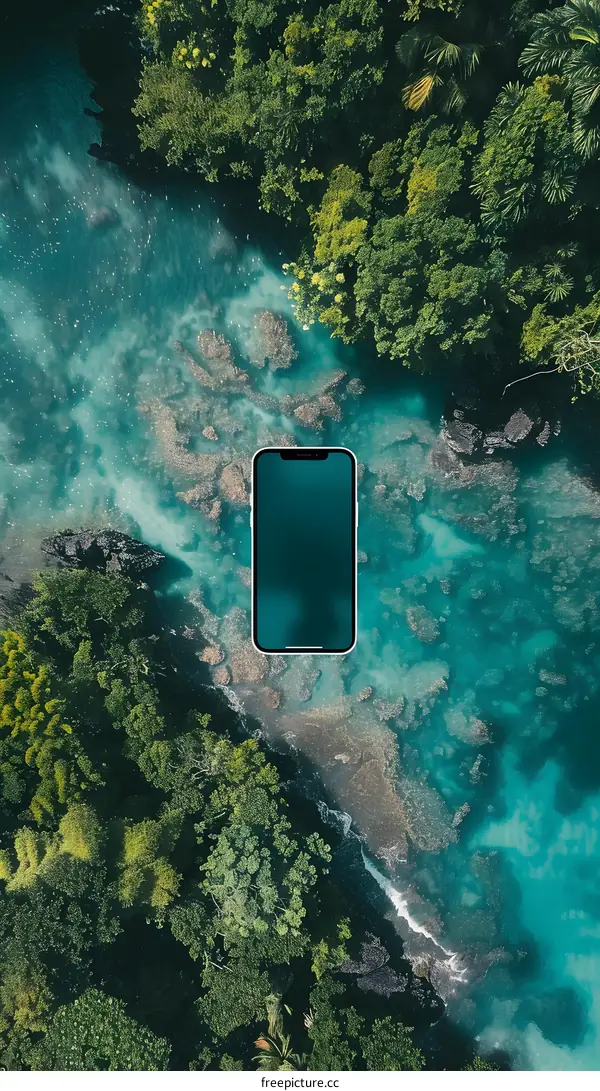 Smartphone in Tropical Paradise
