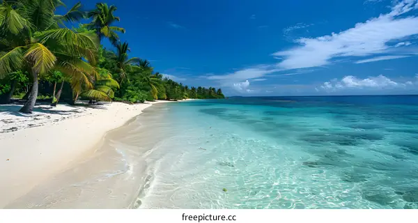 Beach with white sand, palm trees and turquoise water