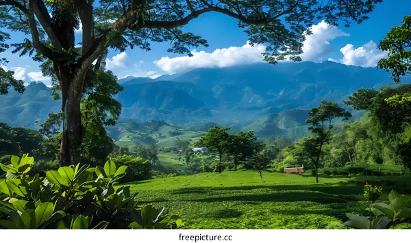 A lush green hillside in the mountains with a blue sky and white clouds