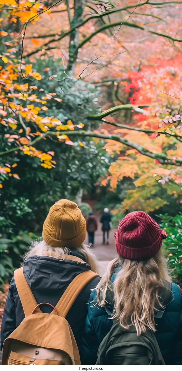 Two Friends Walking in the Autumn Forest