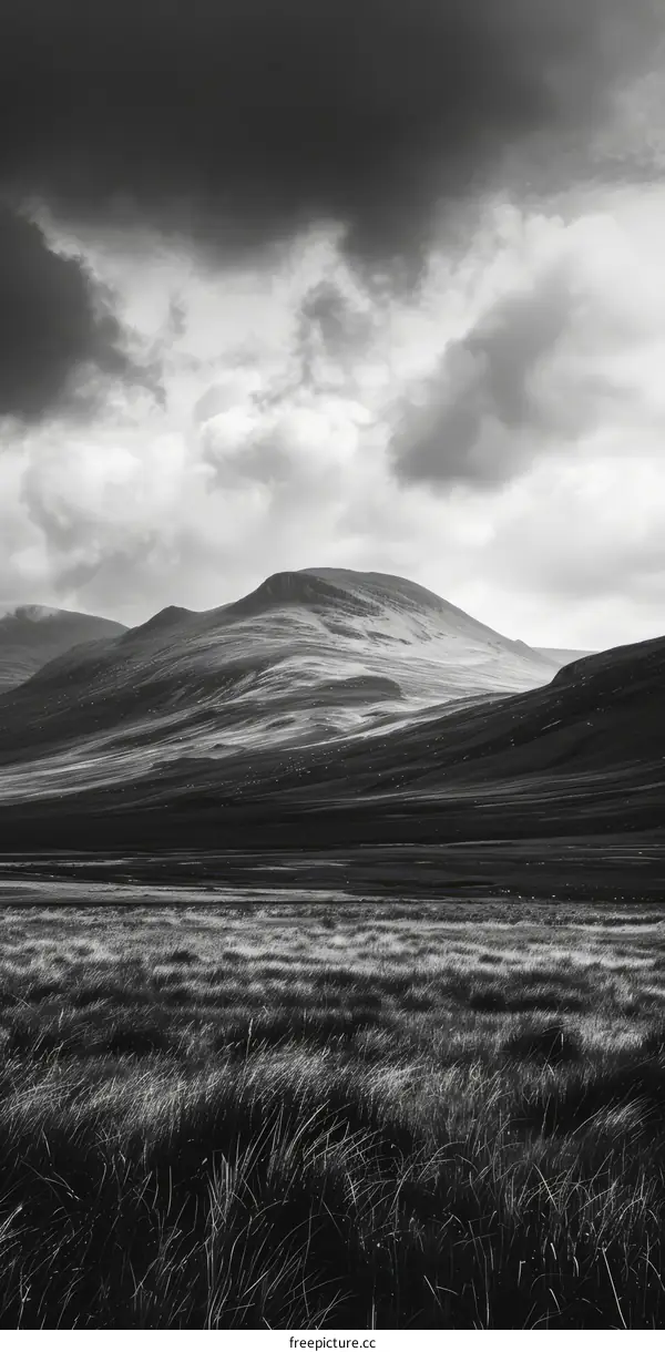 Black and white photo of a mountain landscape